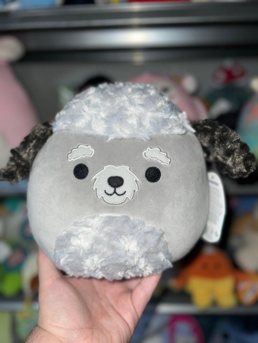 Squishmallow Alfie The Poodle Plush - New With Tags! 8in Adorable Design NWT